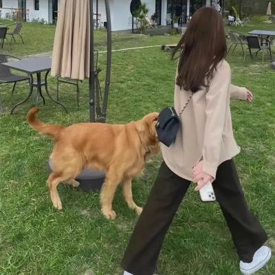 杀手的肖像