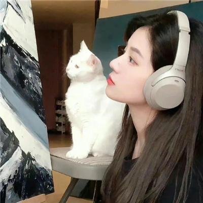 孔雀南飞